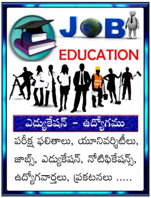Job and Education