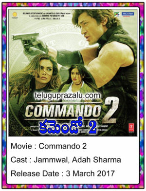 Commando 2