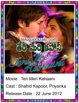 Teri Meri Kahaani Movie