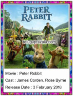 Peter Rabbit