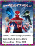 The amazing spider man 2