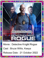 Detective Knight Rogue