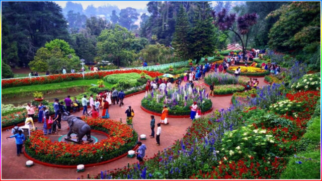 6.Government Botanical Gardens, Ooty