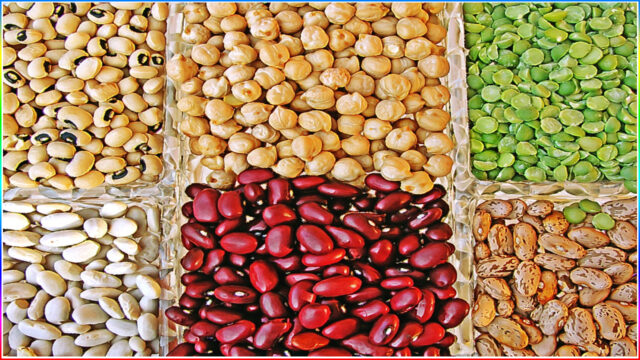 10. Soybean and other legumes