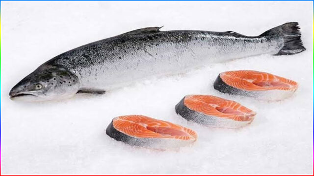 3. Salmon Fish