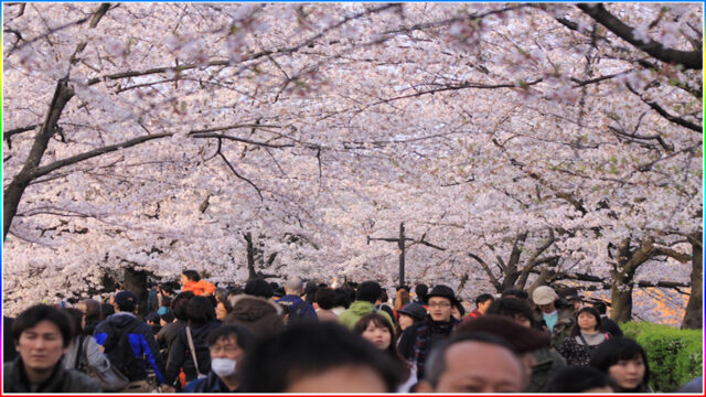 3. Ueno Park