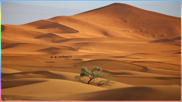 10. Sahara Desert