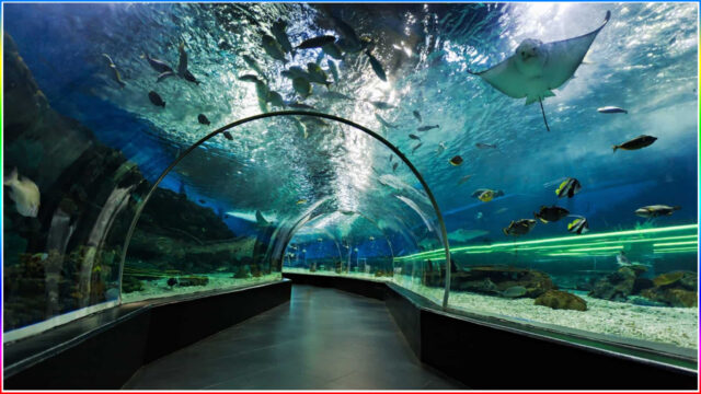 2. Dubai Mall Aquarium