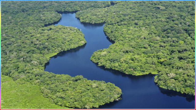 3. Amazon Rainforest