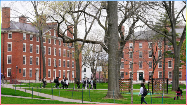 5. Harvard University