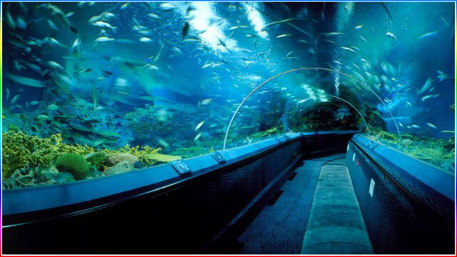 8. Shanghai Ocean Aquarium